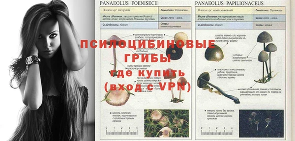дмт Армянск