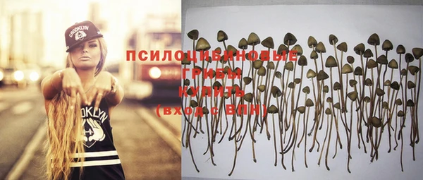 дмт Армянск